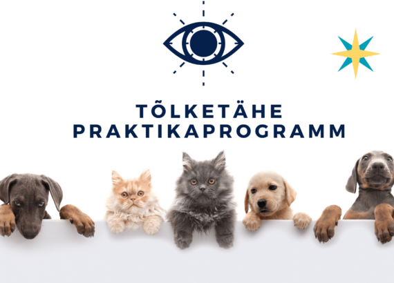 praktika tõlkebüroos
