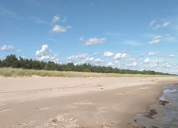 Saaremaa Järve Keskranna