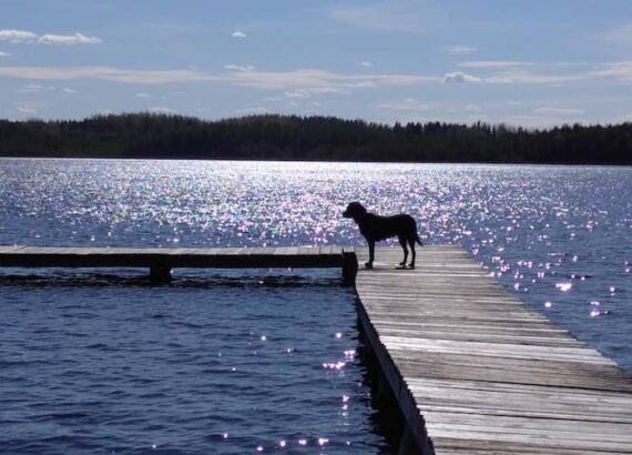 Võrumaa kirikumäe